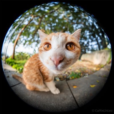 8-15mmF2.8_Fisheye_news04.jpg